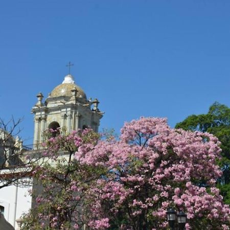M1010 - The Best Place To Enjoy Oaxaca Exterior foto