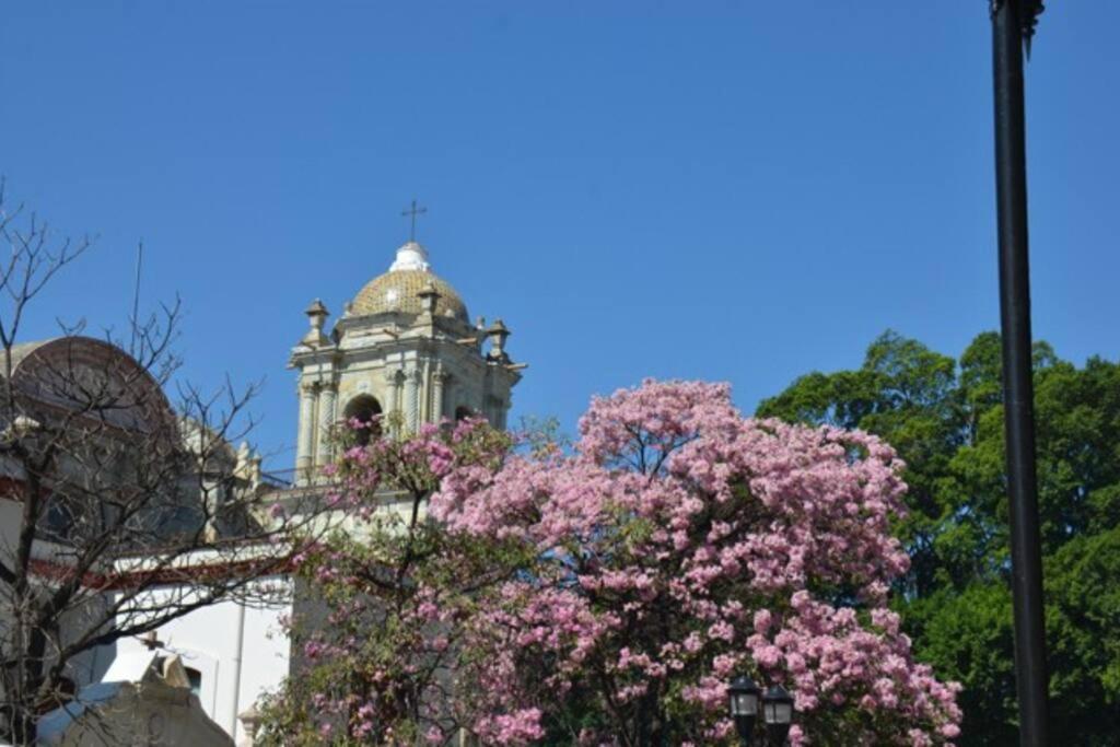 M1010 - The Best Place To Enjoy Oaxaca Exterior foto