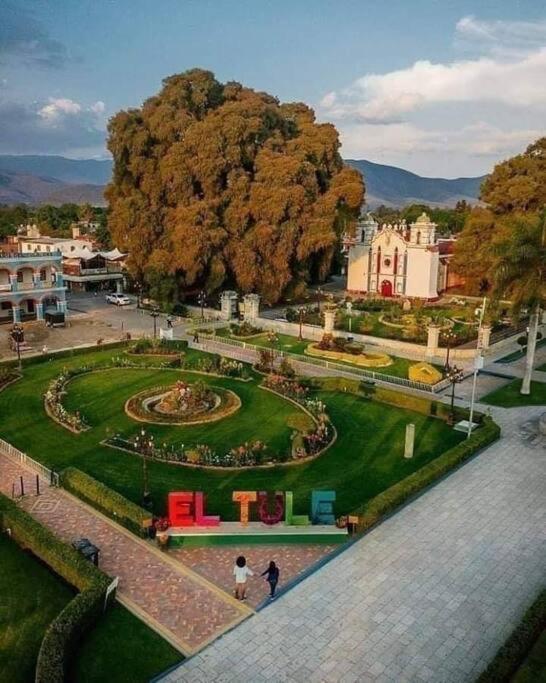 M1010 - The Best Place To Enjoy Oaxaca Exterior foto